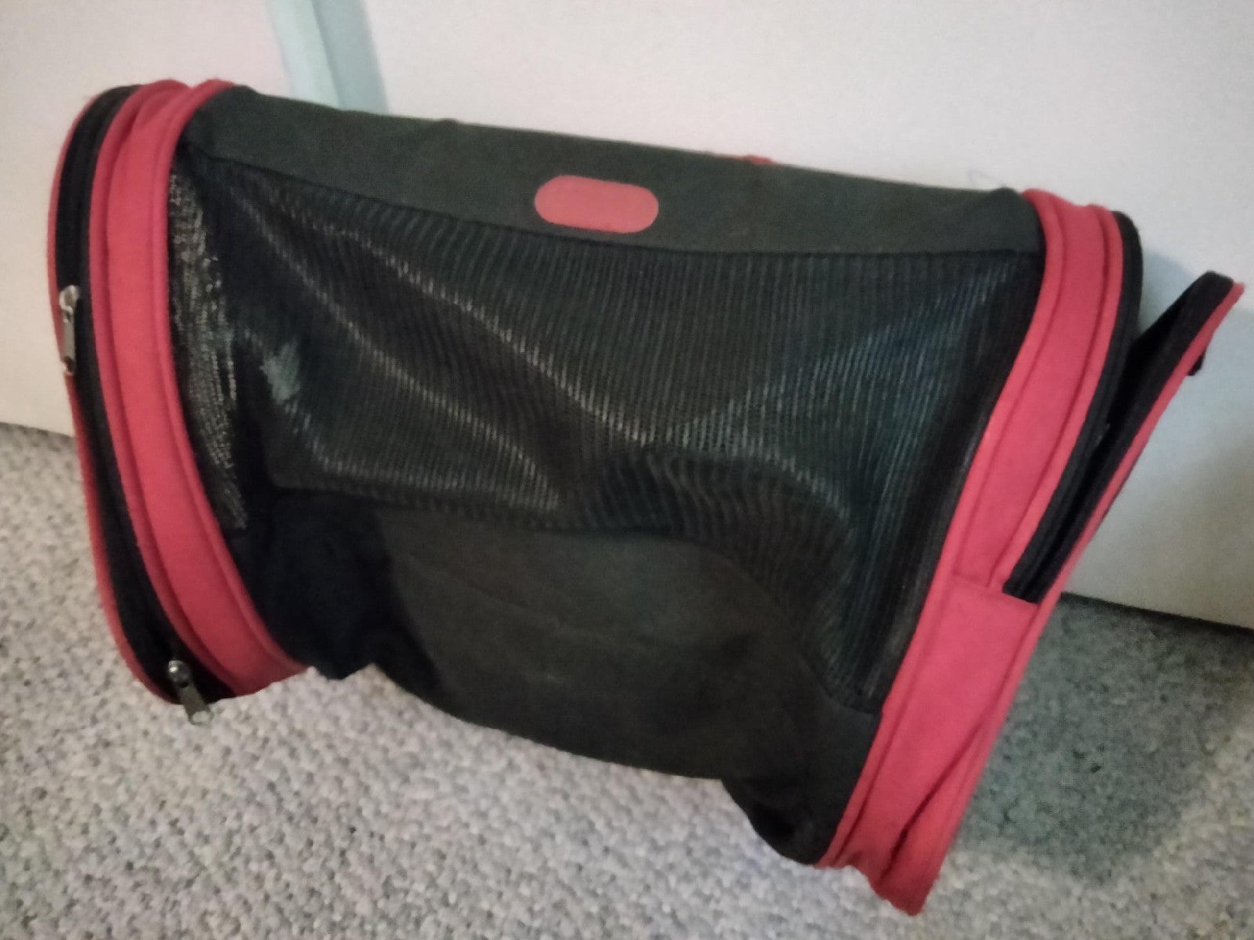 Two pet carriers