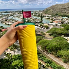 Starbucks Hawaii 2021 Pineapple Tumbler