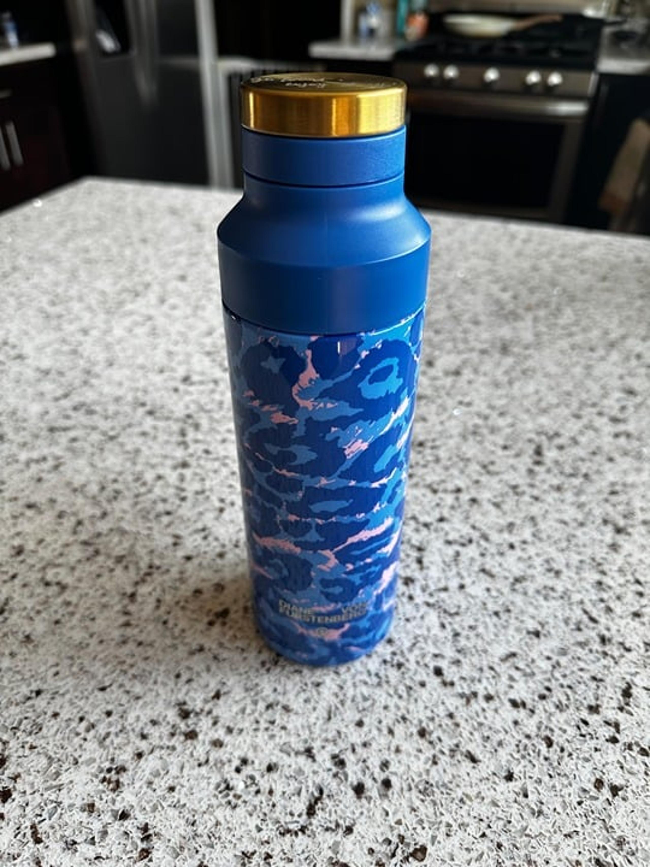 Leopard Blue 19oz Stainless Steel Water Bottle - DVF for Target