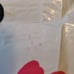 90's Collectible Vintage Selena plastic bag