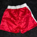 Vintage Everlast boxing Trunks