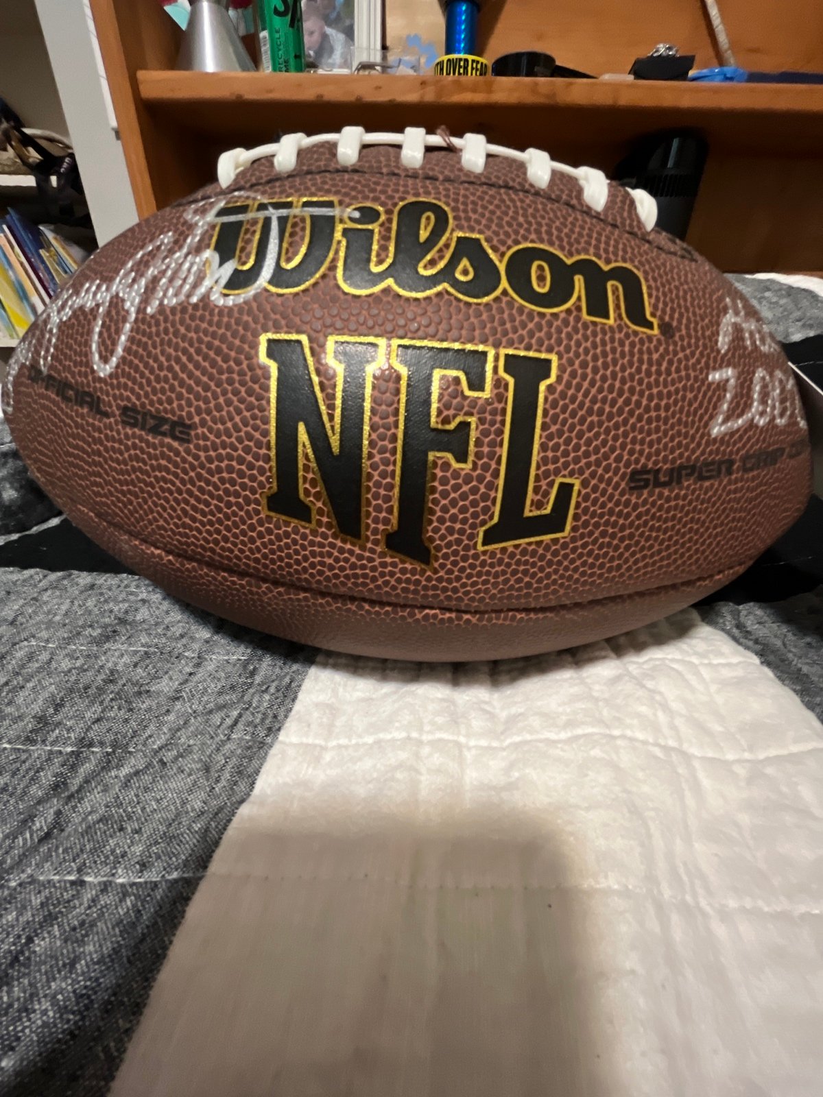 Signed football Mike Brunel just say authenticated Hall of Fame 2002 inscripted