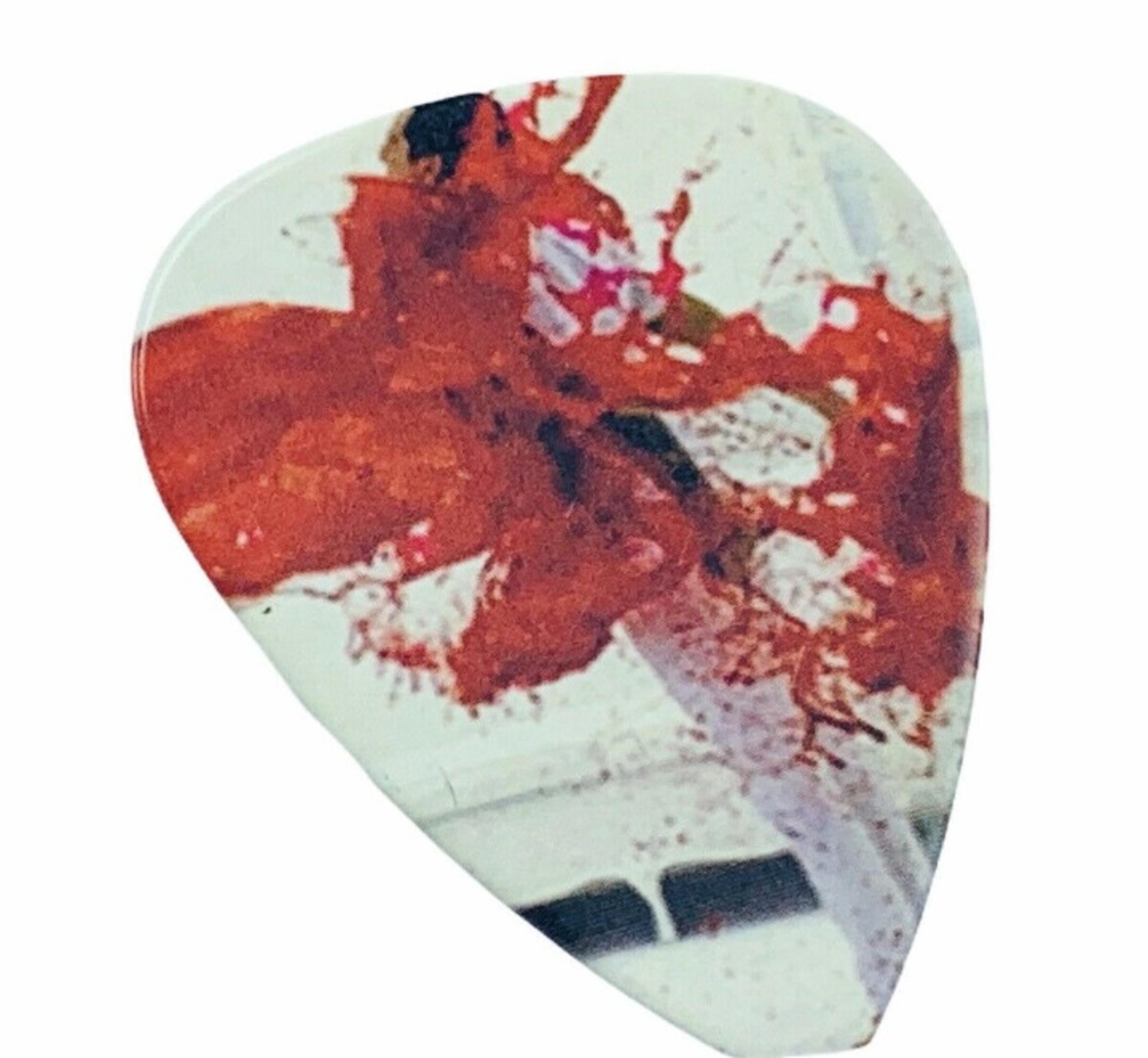 Guitar pick Punk blood splatter grunge