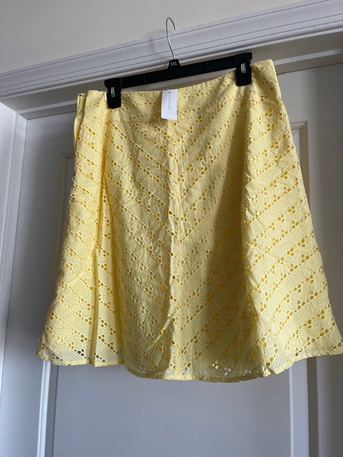 Ann Taylor skirt