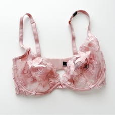 Victoria’s Secret Floral Embroidered Unlined Plunge Bra 32DD