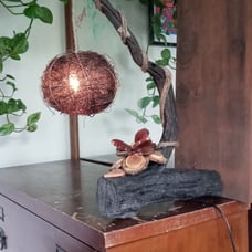 Salinas River Drift Wood Night Light