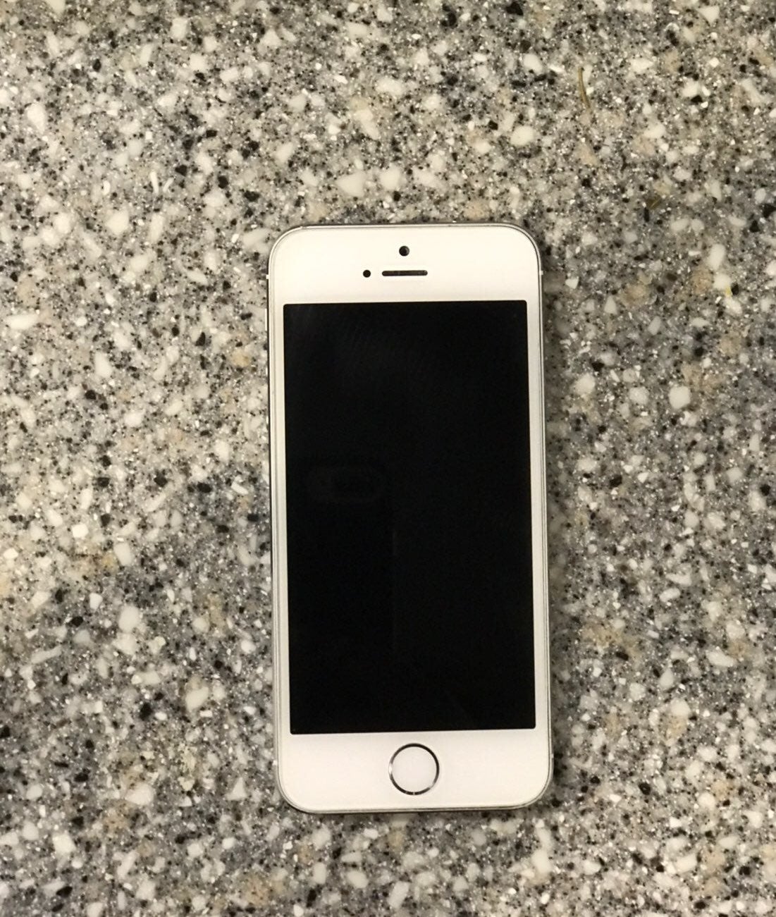 iPhone 5s Silver