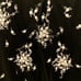 NWT Ann Taylor Petites Skirt 2P