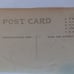 1904-18 Photo-postcard, AZO paper, Young girl, Teddy Bear, Ribbon