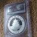 Silver coin lucky panda perfect ms70 rated