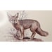Custom Framed & Matted Signed C. Alexander Print Fox 10 x 12.5