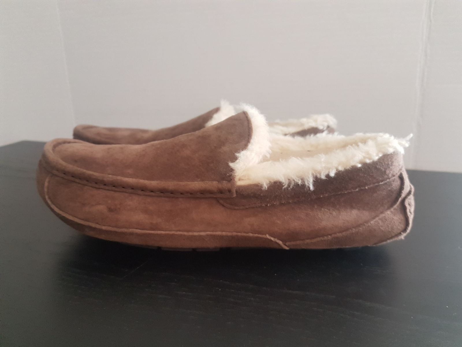 UGG Ascot Men Slippers