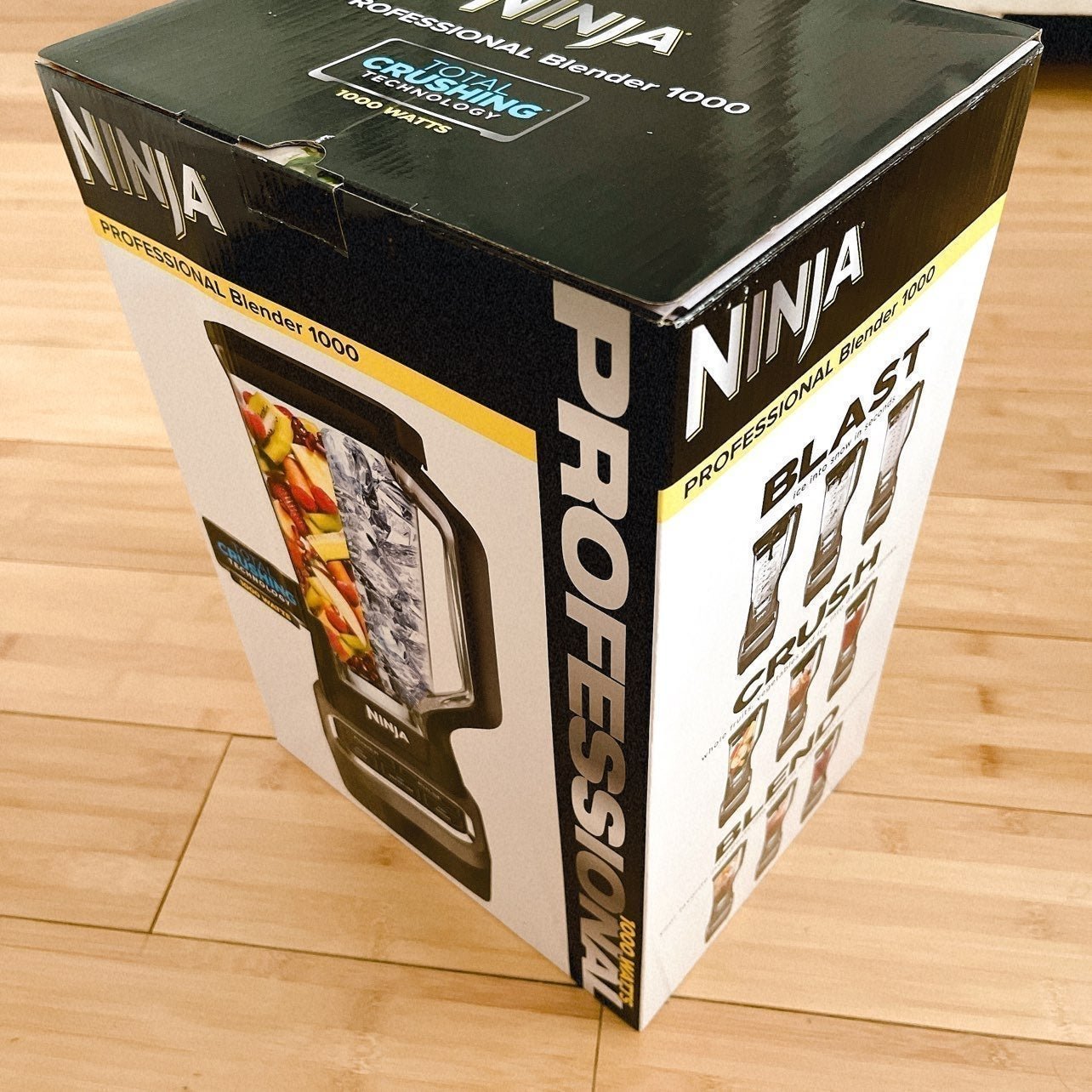 Professional Blender 1000W
