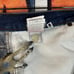 Y2K Bape Crossbones Jean Shorts Size 36
