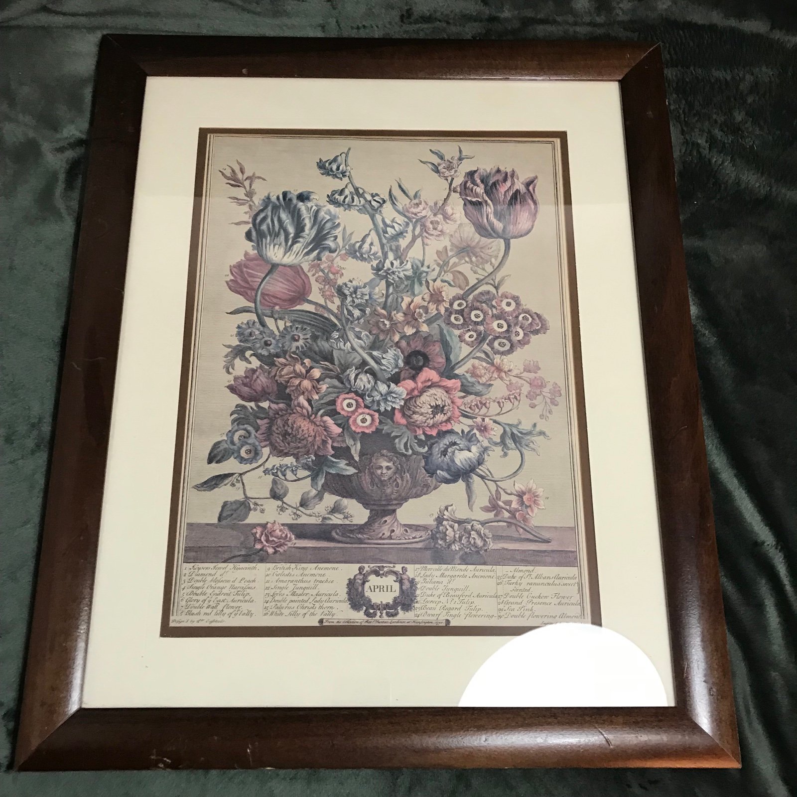 Vintage Robert Furber April Framed Matted Botanical Print H Fletcher Engraver
