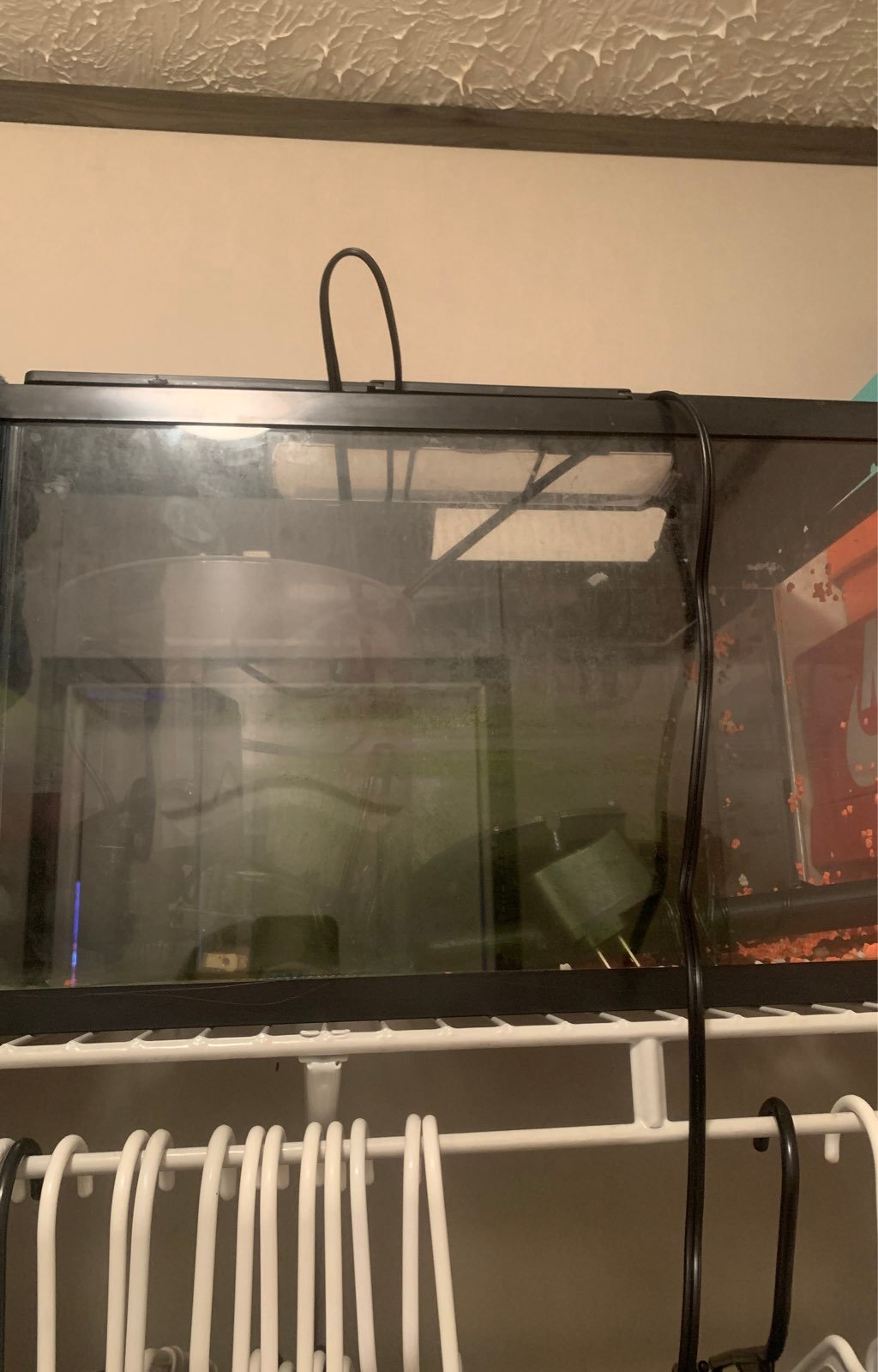 fish tank