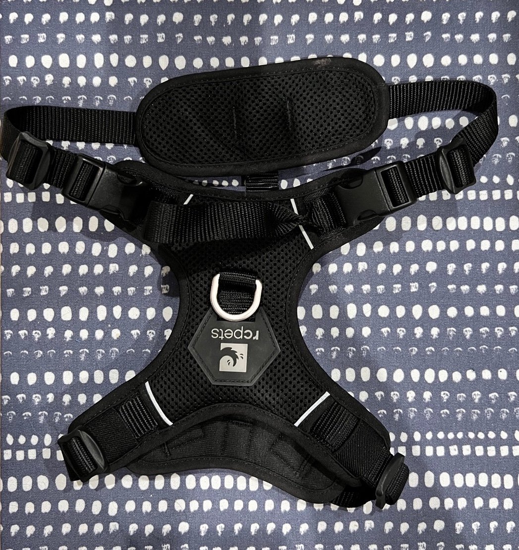 RC Pet Products Momentum Dog Harness, Medium, Black