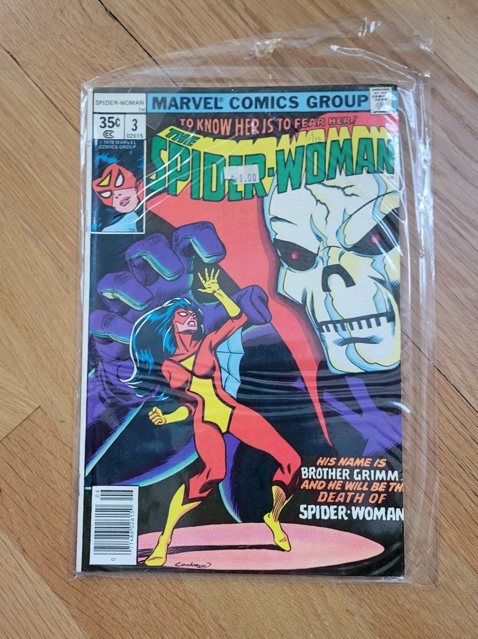 The spiderwoman #3