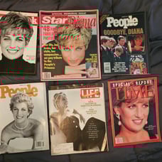 Princess Diana Lot