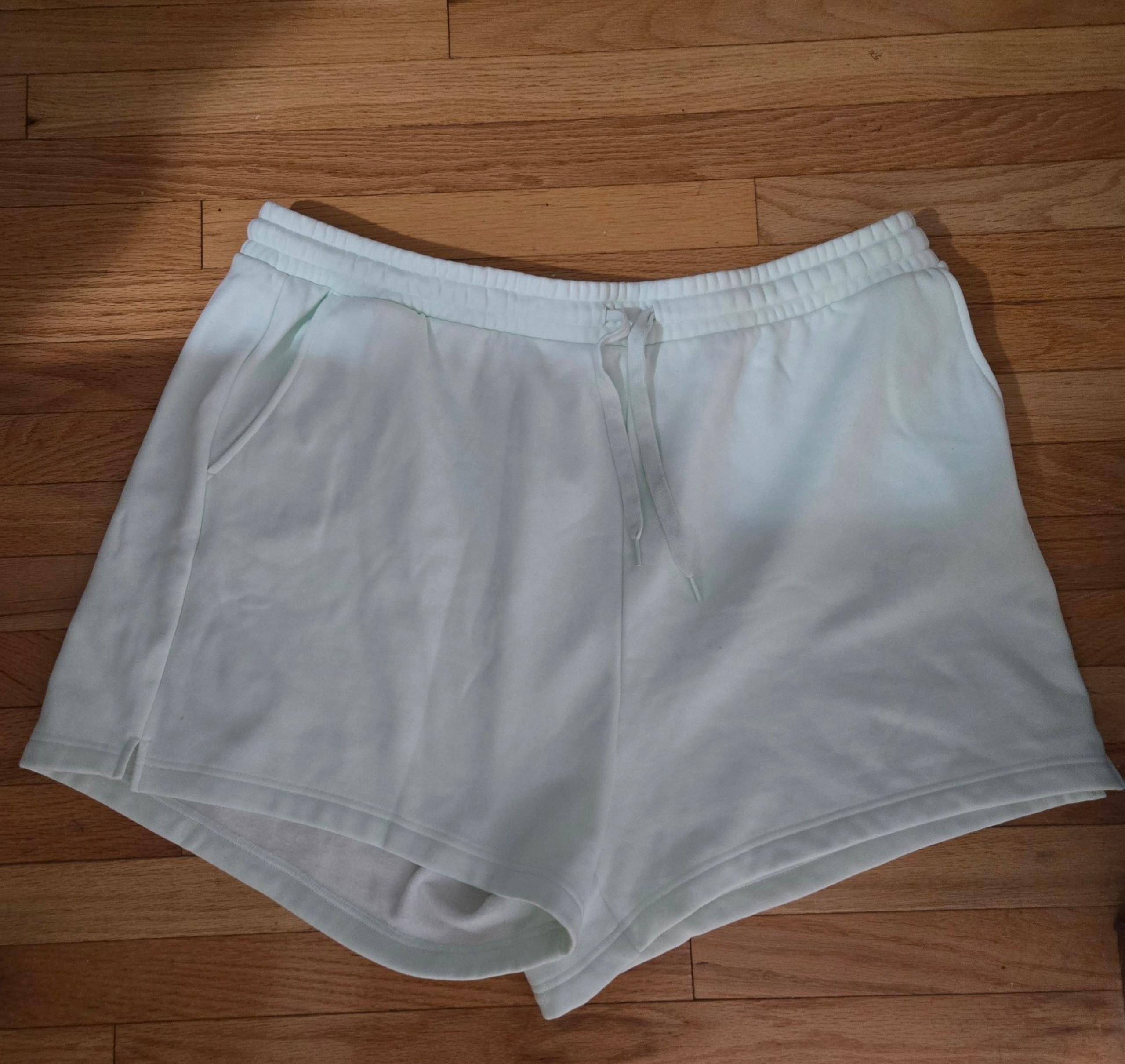 Fablectics 4x light blue shorts