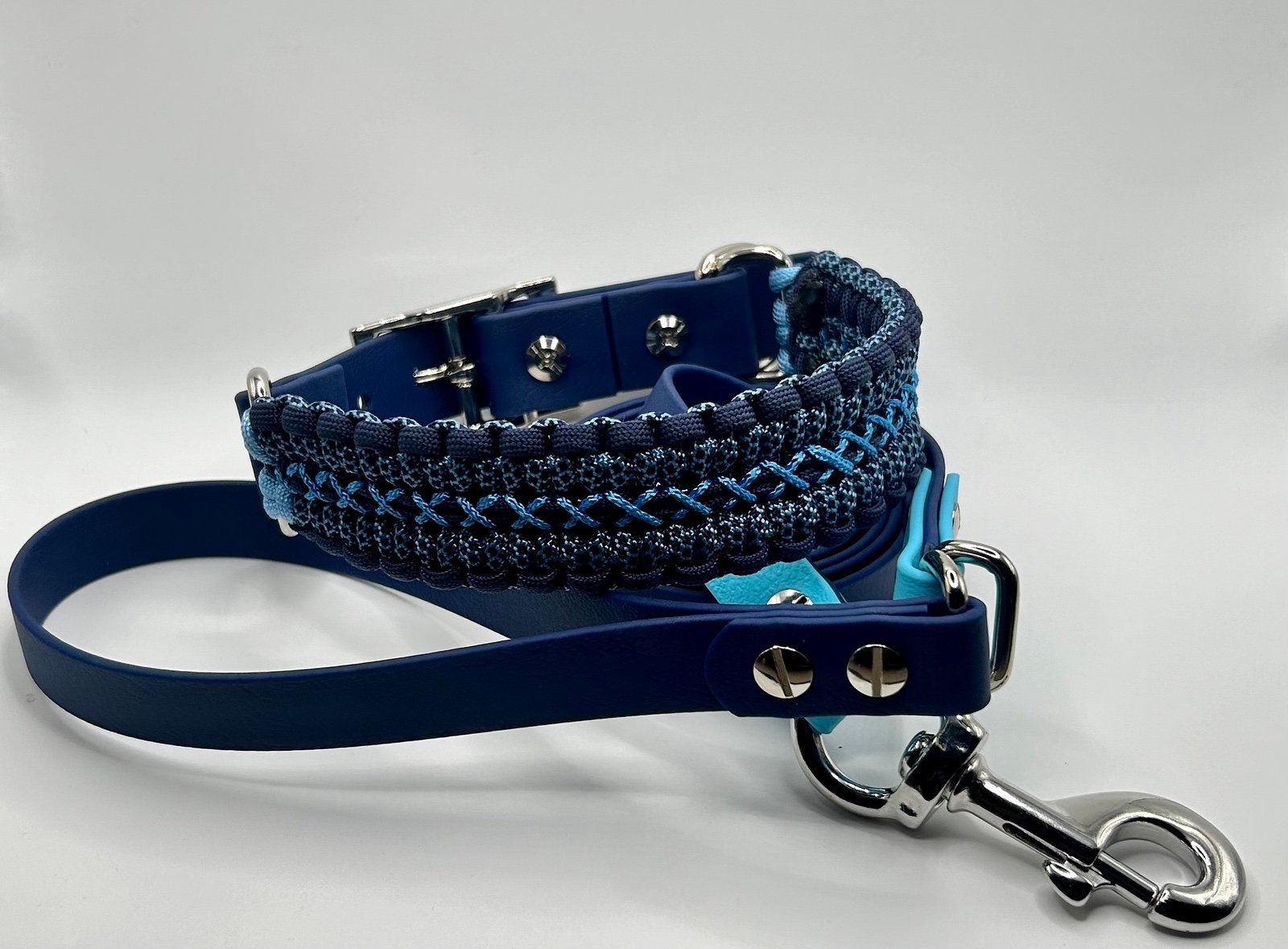 Paracord Collar & Biothane Leassh Set