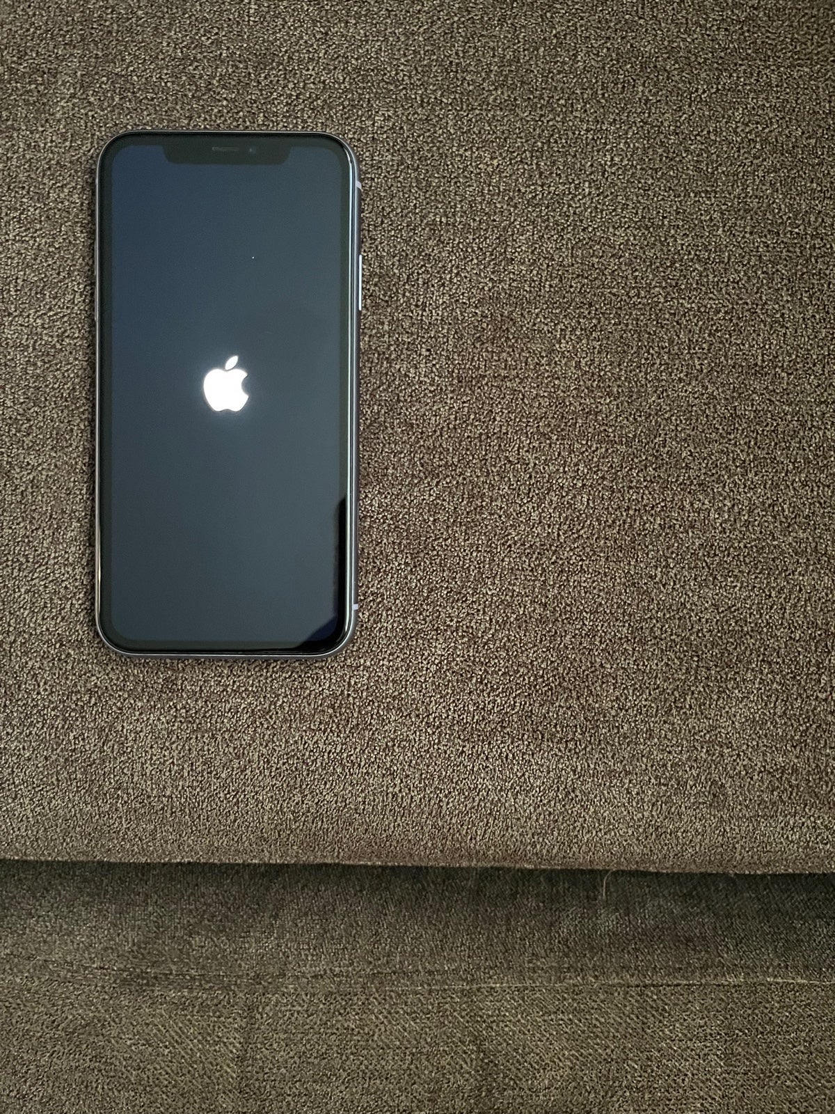 Apple iPhone 11 256 GB in Purple