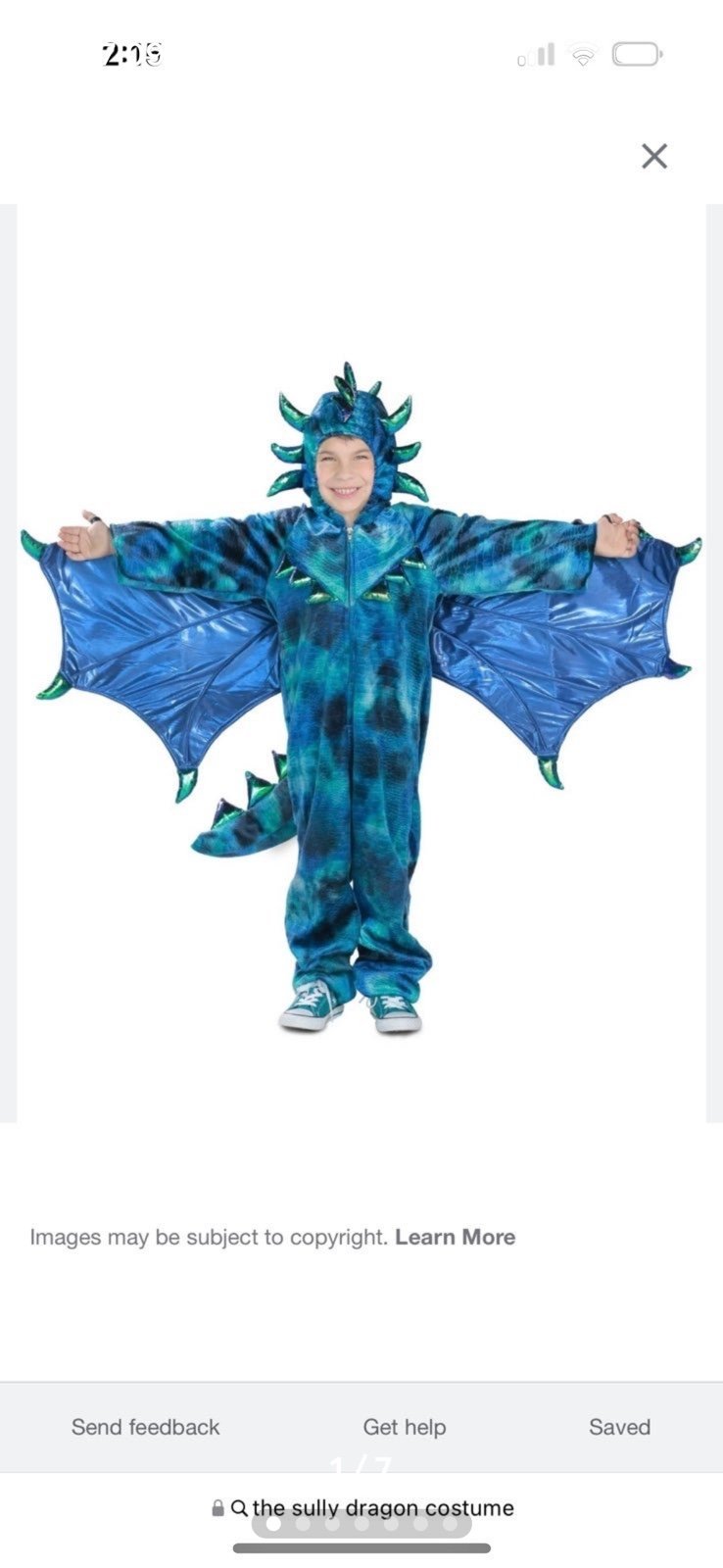 Blue dragon costume