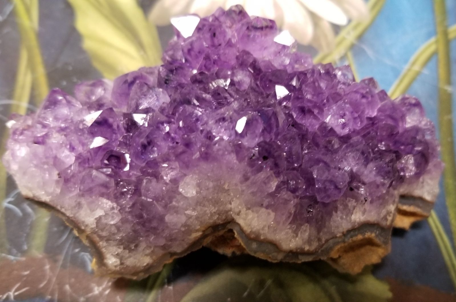 Brazilian amethyst with conglomerate base