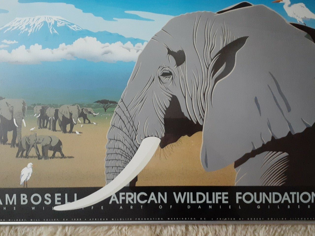 ORIGINAL FRAMED 1988 ELEPHANT Amboseli African wildlife Foundation Dan Gilbert
