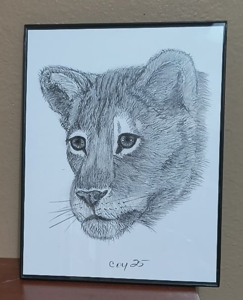 Drawing