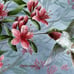 Diamond Art Club SONGBIRD - A SEASON OF SONG- HUMMINGBIRD Diamond Painting Kit