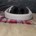 Turtlebeach stealth 600 gen 2 USB MISSIN