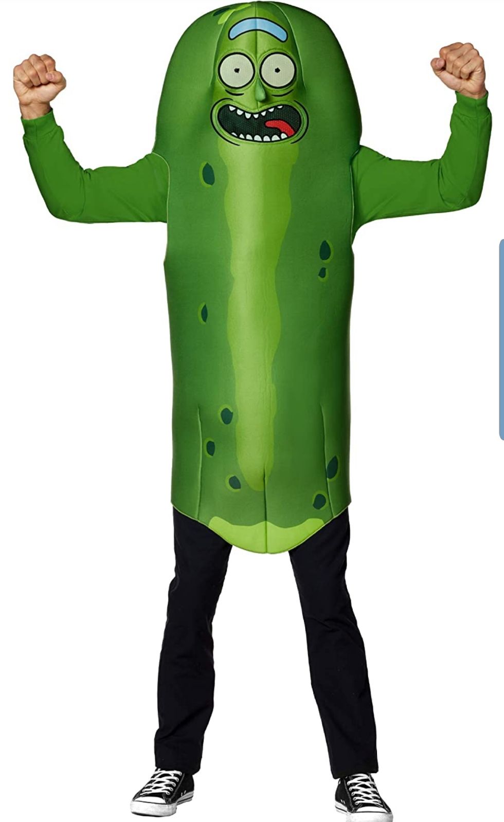 Pickle rick costume