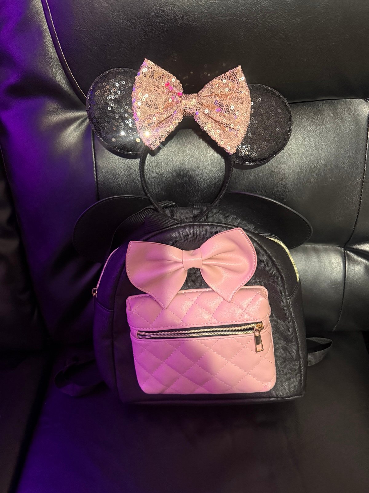 Mickey Mouse backpack and ears