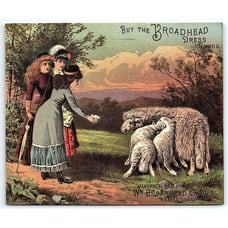 c1880 JAMESTOWN NY WM. BROADHEAD & SONS DRESS GOODS VICTORIAN TRADE CARD Z7411