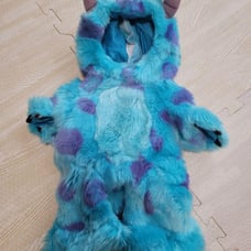 Duffy costume Sally