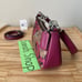 Coach Teri Mini Crossbody In Signature Bow Print