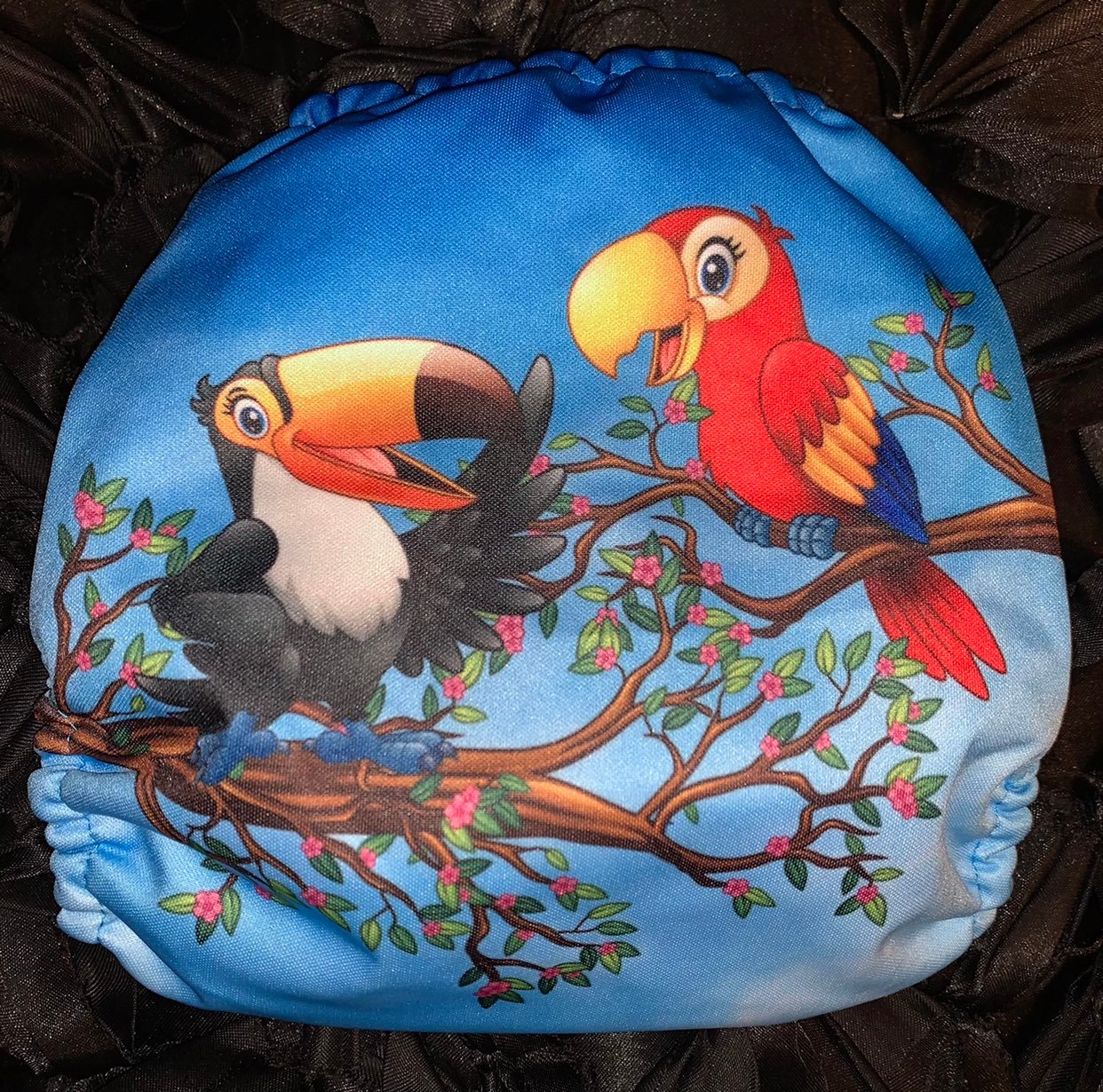 Mama koala tucan exclusive birds