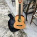 Acoustic Guitar