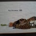 Completed counted cross stitch of tigers