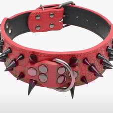 Pet Leather Studded Adjustable Collar, Ex-Small
