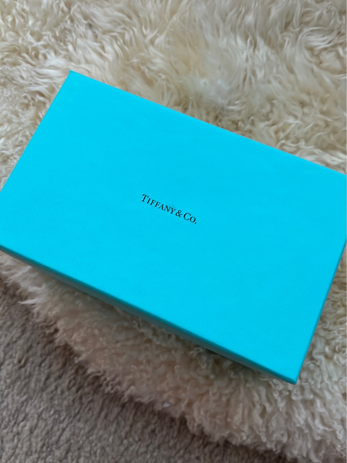 Tiffany & Co Crystal Snake