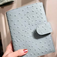 Gillio Compagna XL ostrich print