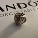 Pandora charm