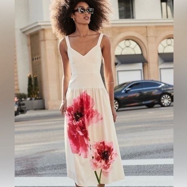 Express Floral Corset V Neck Midi Dress Conscious Edit Size 0