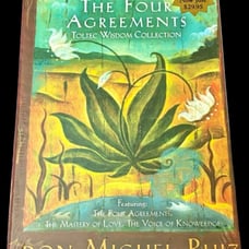 The Four Agreements Toltec Wisdom Book Collection by Don Miguel Ruiz
