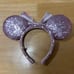 Set: Universal Studios & Disney Character Headbands (Pink)