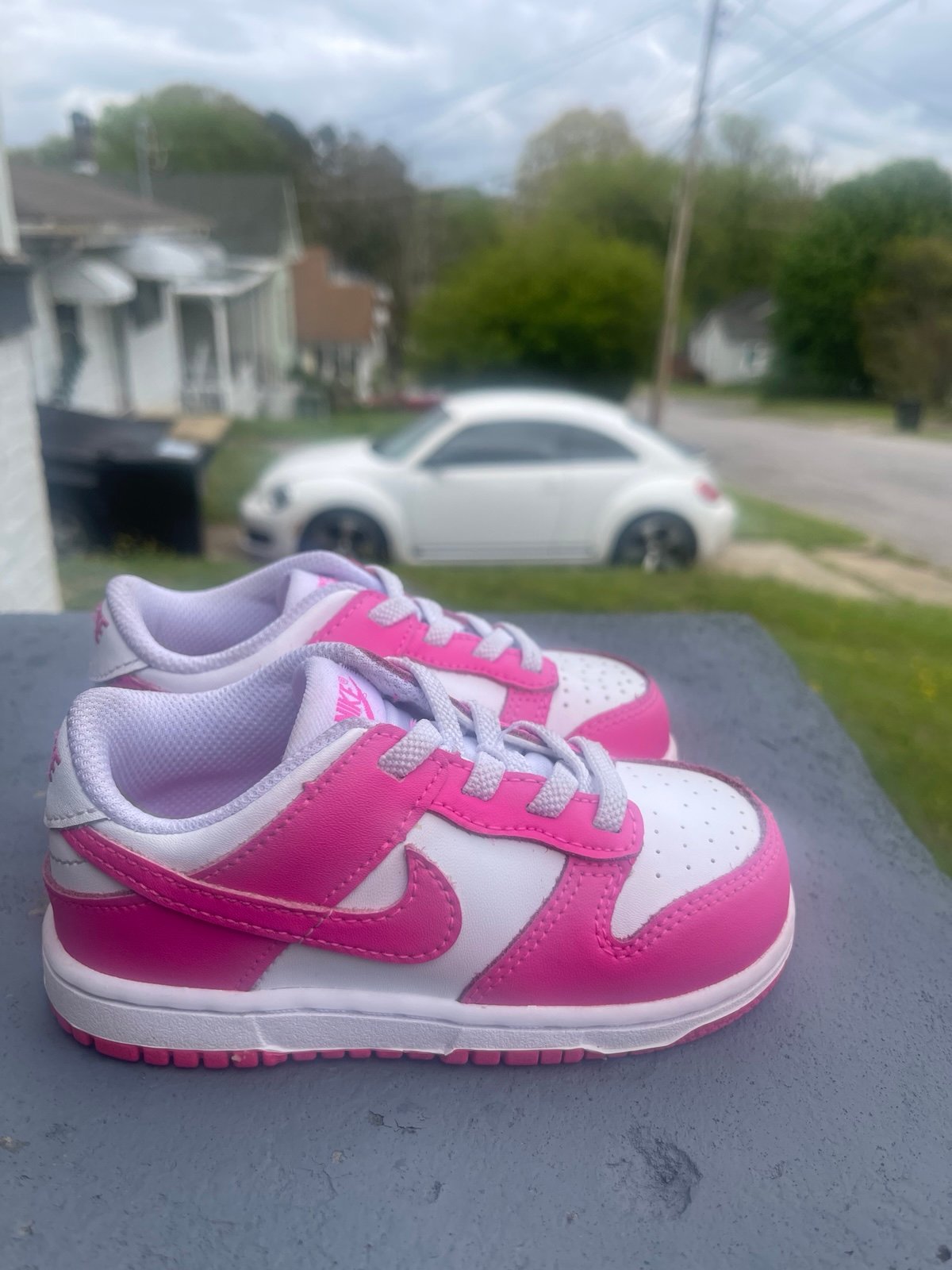 Nike Dunks
