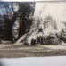 William M. McCarthy Photograph Collectio