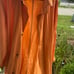 vintage Banana Republic Safari Rain Jacket